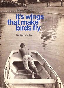 Weiner, Sandra - It's wings that make birds fly. The story of a boy