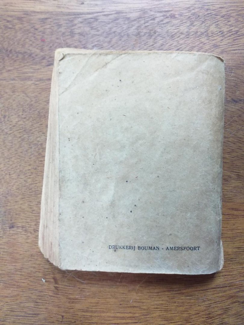 Ernst,Paul, ( Paul Frederick Stein, Diabolo, Mysticus) - De verdwenen banklooper