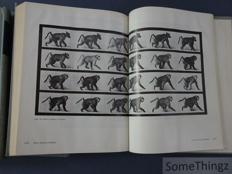 Eadweard Muybridge. - Muybridge's complete human and animal locomotion. All 781 plates from the 1887 Animal Locomotion by Eadweard Muybridge. [3 vol.]
