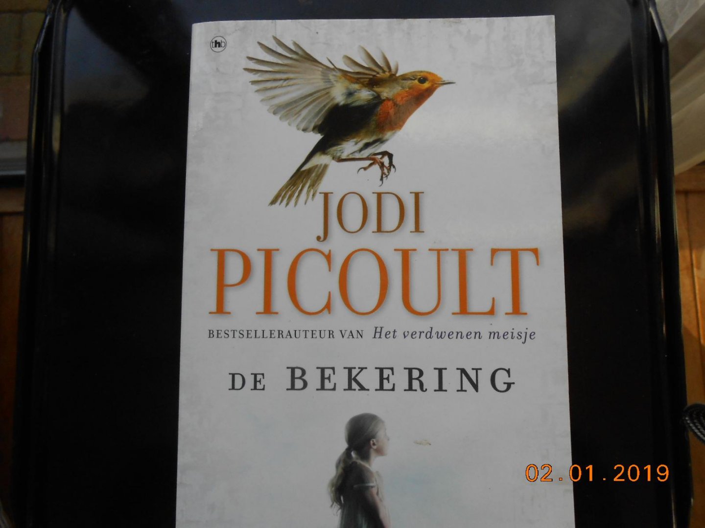 Jodi Picoult - De bekering