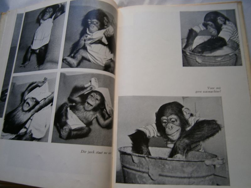 Hess, Ludo - Christine, de baby chimpansee