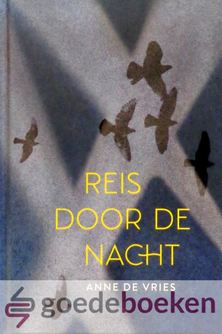 Vries, Anne de - Reis door de nacht *nieuw*