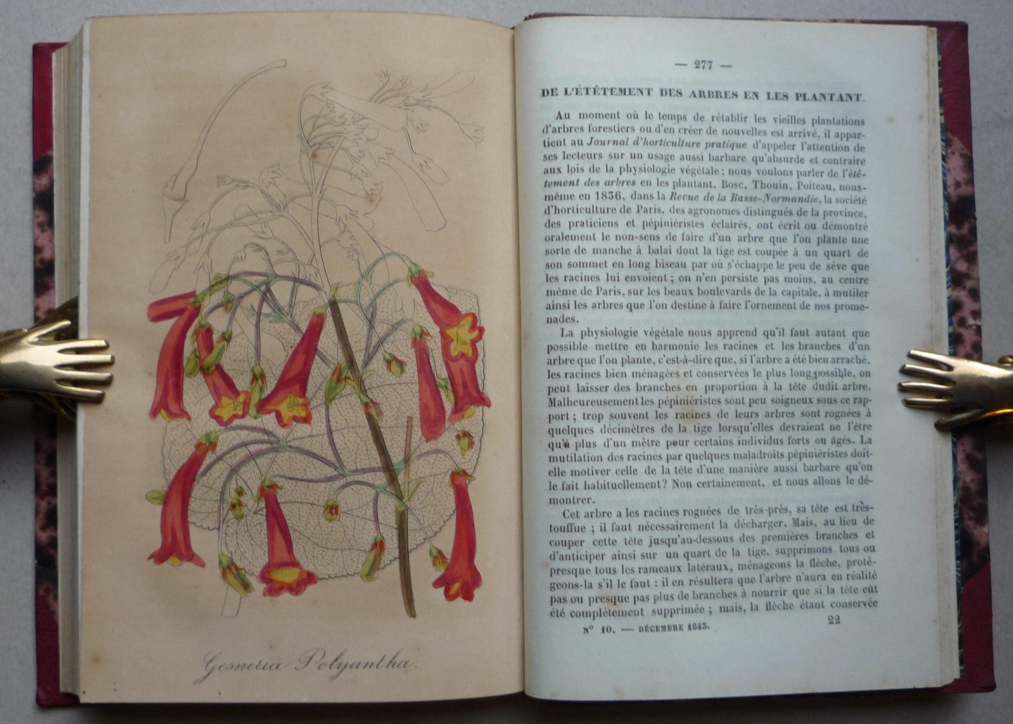 Scheidweiler, M. & Ysabeau, M - Journal d'Horticulture Pratique de La Belgique, ou Guide des Amateurs et Jardiniers (8 Vols.)
