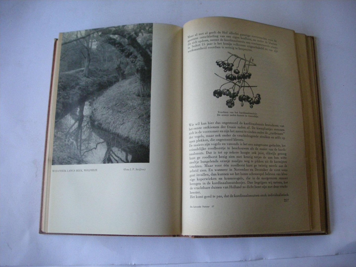 Thijsse, Jac.P. / Tijmstra, G.J. voorw. / Wilcke,J.,pentek. /  Strijbos,J.P. e.a., fotogr. - De levende natuur. Het levenswerk weerspiegeld in een bloemlezing (in 1944 door Thijsse uitgez., uitgave verzorgd door L.Tinbergen)