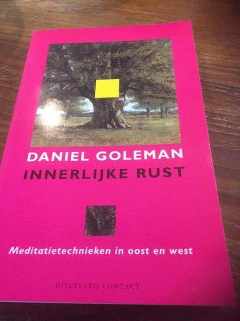 Daniel Goleman - Innerlijke rust / druk 1