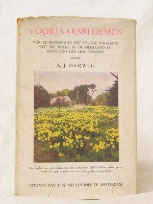 Herwig, A.J. - Voorjaarsbloemen