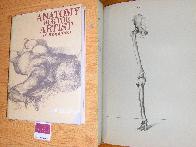 Barcsay, Jeno - Anatomy for the Artist. 142 full-page plates