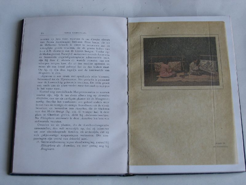 Blauw, Dr.A.H. - De Tropische Natuur in schetsen en kleuren