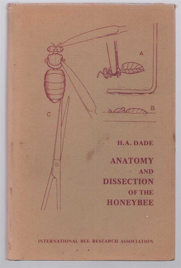 Harry A Dade - Anatomy and dissection of the honeybee