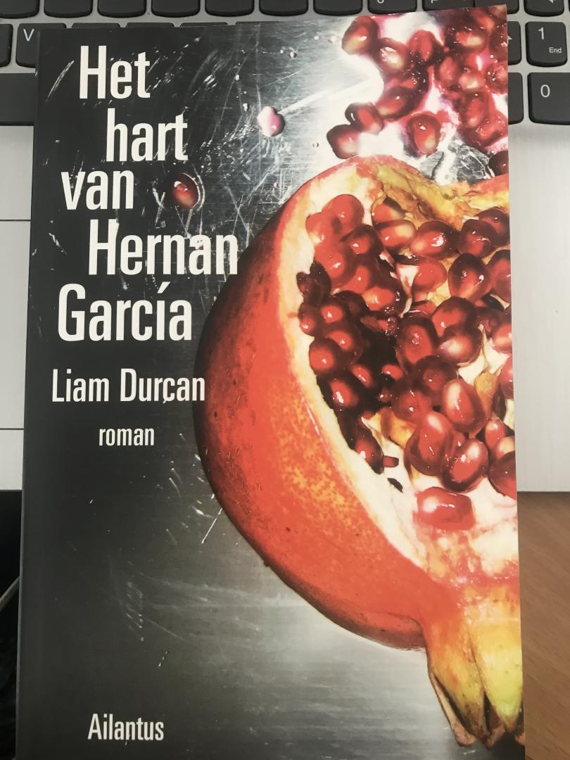 Durcan, L. - Het hart van Hernan García