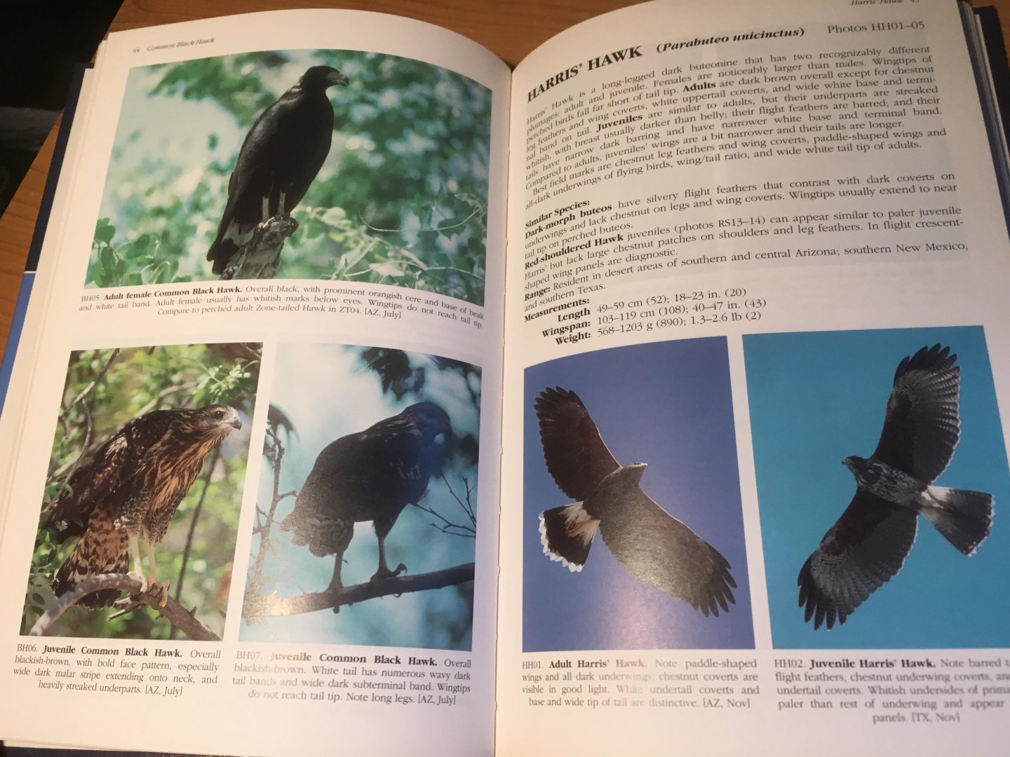 Wheeler, BK & WS Clark - A Photographic Guide to North American Raptors
