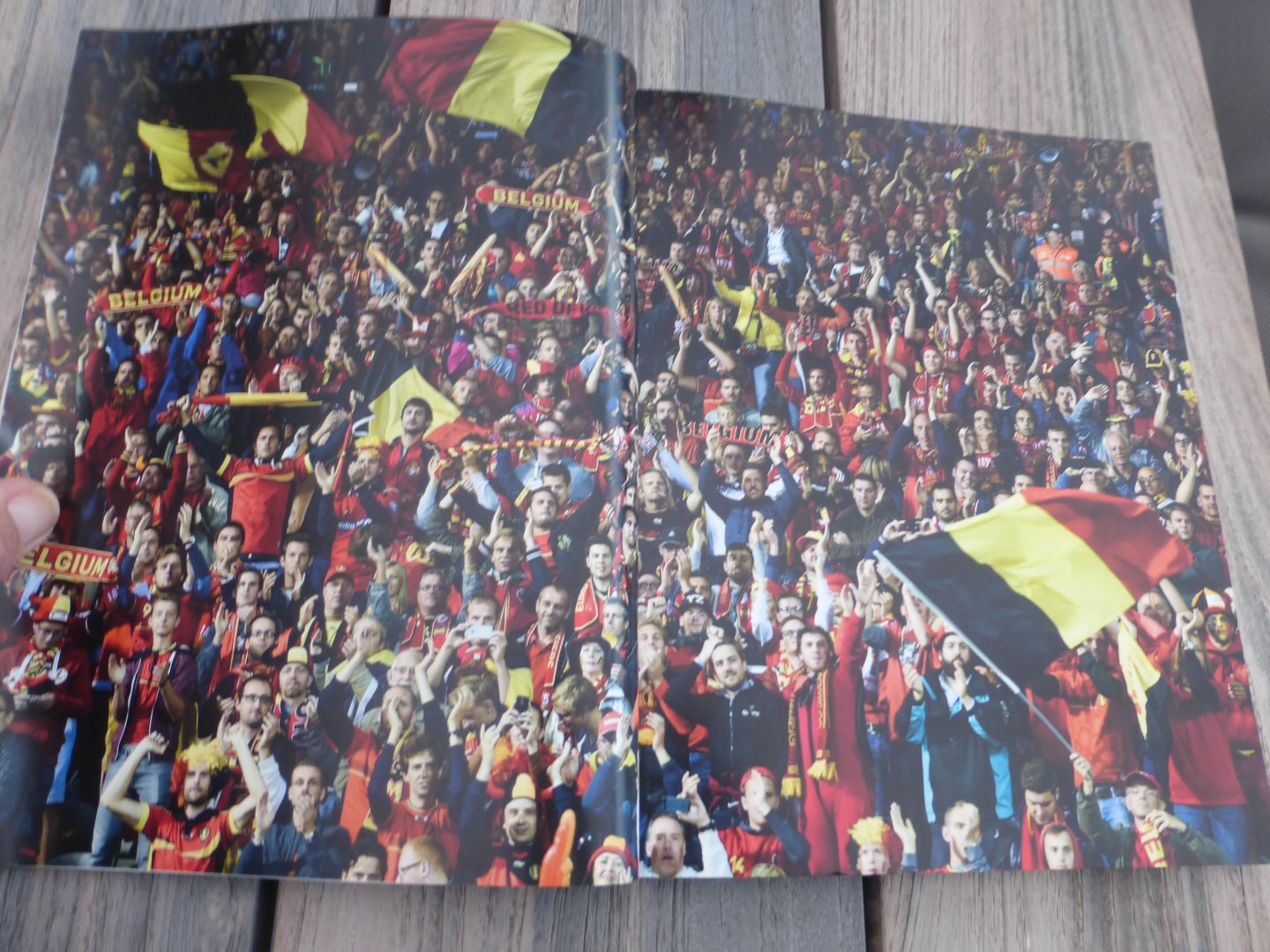 Danvoye, Pierre - De Belgische Rode Duivels / het officiële spelersboek