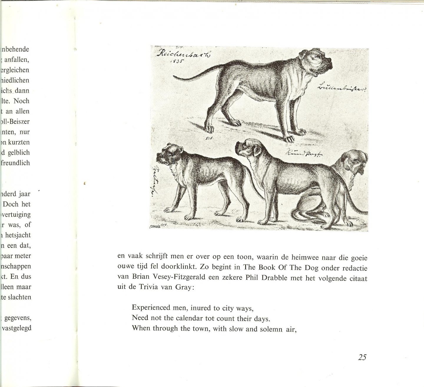 RHEENEN JAN VAN      fotos van Chr.A.  Veldhuis en W. Emmens - DE BOXER * potret van een honderas met 18 foto's van chr.a.veldhuis en w.emmens tweede druk