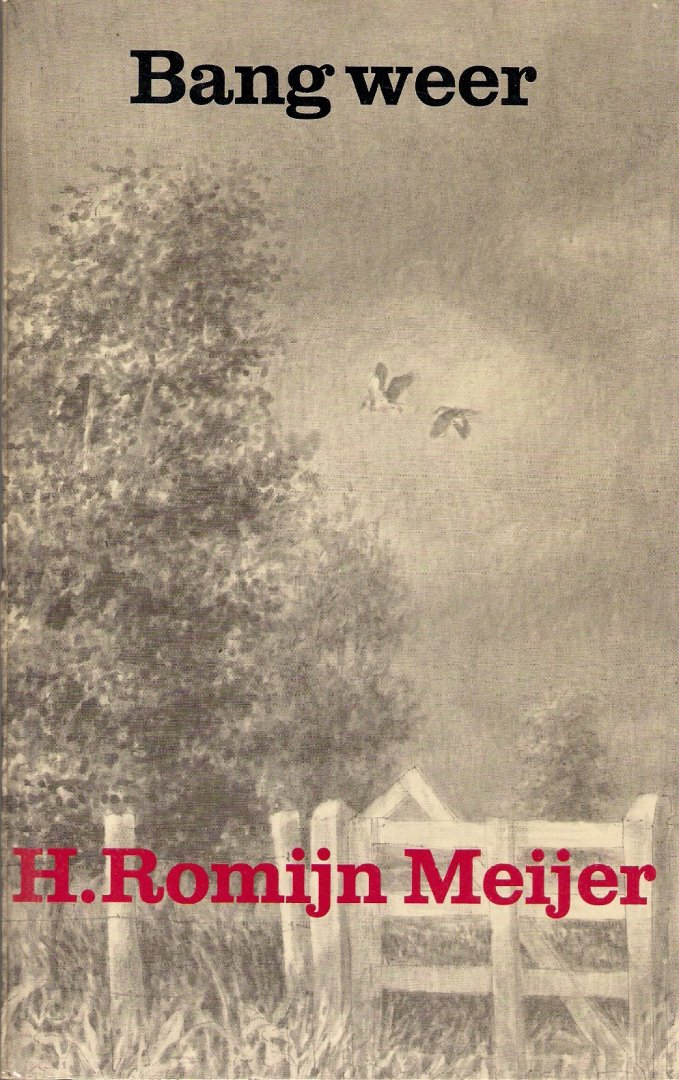 Romijn Meijer, Henk - Bang weer