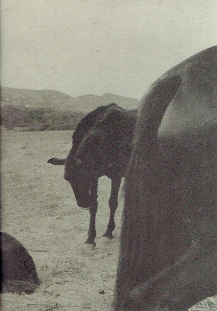 MONCLOA, Suffo - Suffo Moncloa - Walk to the Moon. - [Signed - 137/500].