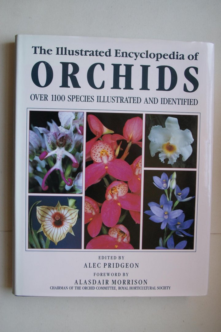 Alec Pridgeon ; Morrison, Alasdair - Illustrated Encyclopedia of Orchids  over 1100 species illustrated and identified