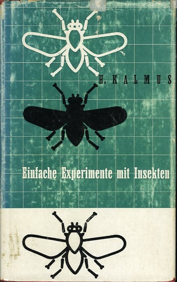 KALMUS, - Einfache Experimente mit Insekten.