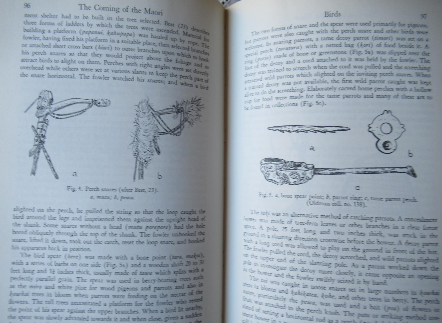 Te Rangi Hiroa - Buck, Peter - The coming of the Maori