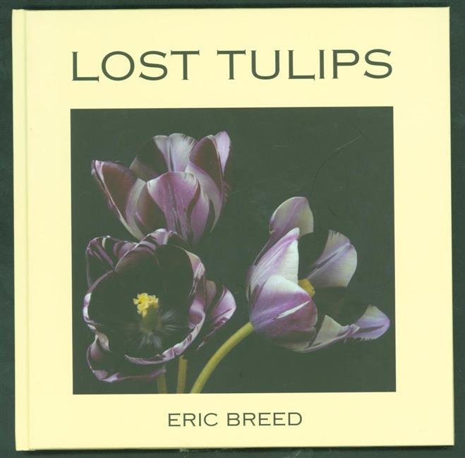 Breed, Eric (Cornelis Johannes) - Lost tulips