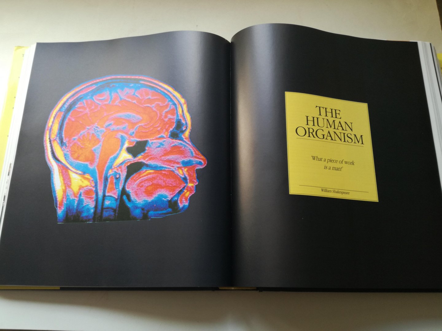 Ian Crofton (editor) - The Guiness Encyclopedia