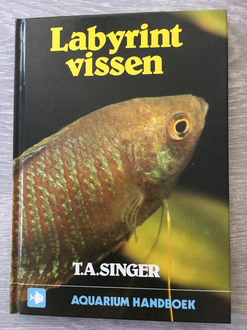 Singer - Labyrinthvissen