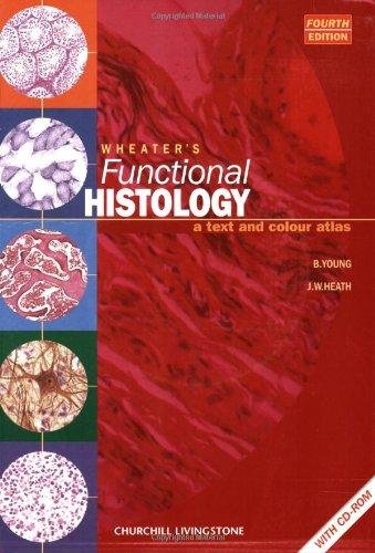 YOUNG, B. & J.W. HEATH - Wheater`s Functional Histology. A tekst and colour atlas.