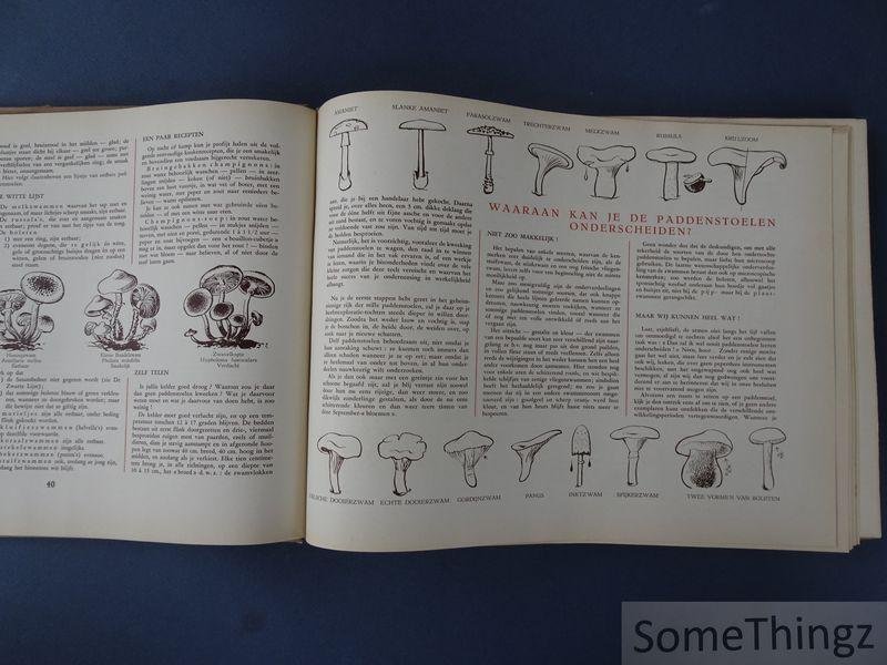 Bauweraerts, H. / Monden, L. / Van Laer, J. (ed). - Dit nieuw seizoen IV: Herfst.