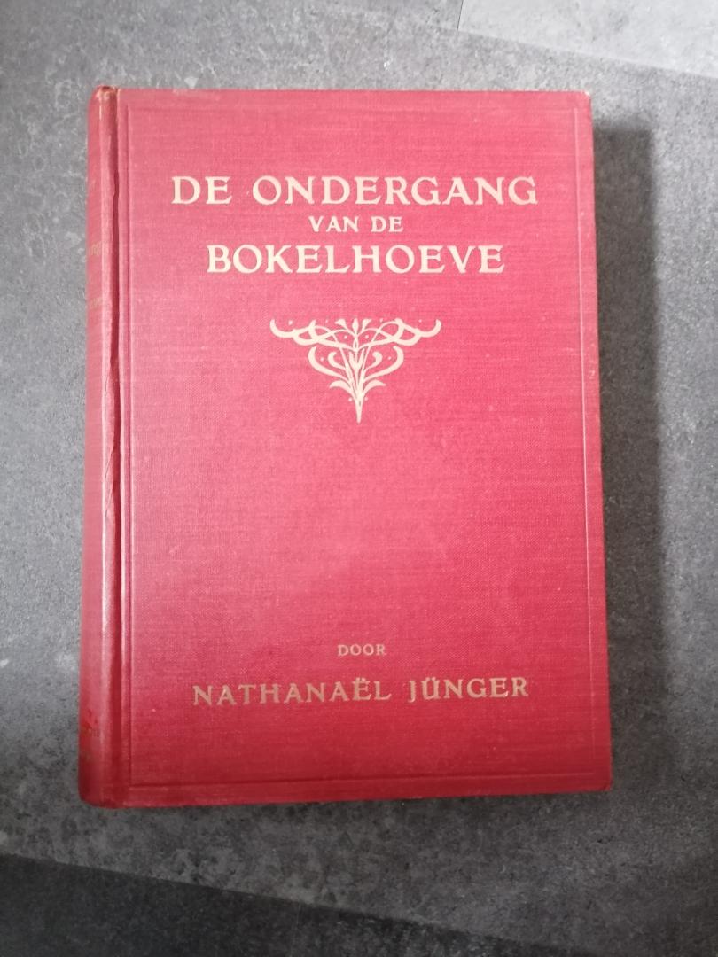 Junger, Nathanael - : (Vertaling Jacq.E.van der Waals) - De ondergang van de Bokelhoeve