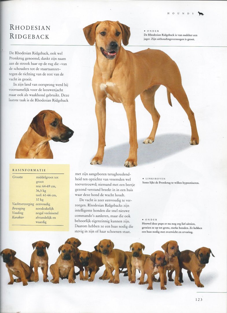 Larkin, P. - het honden  handboek