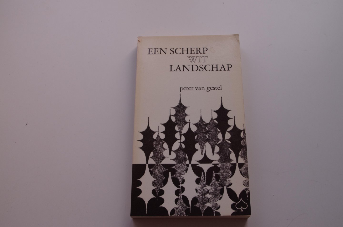 Peter van Gestel - Een scherp wit landschap