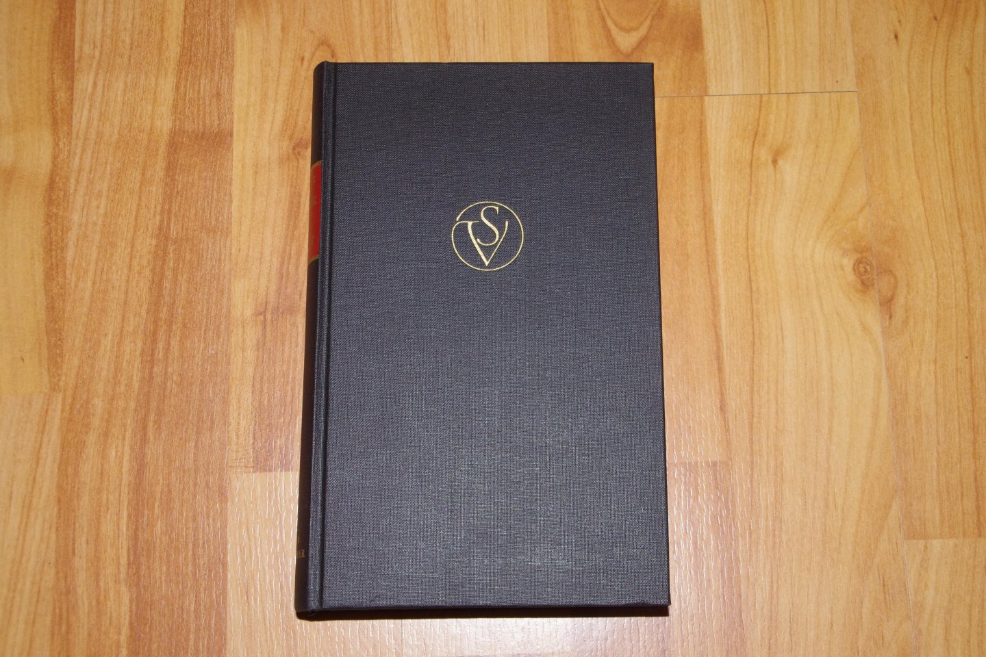 Simon Vestdijk - Het spook en de schaduw