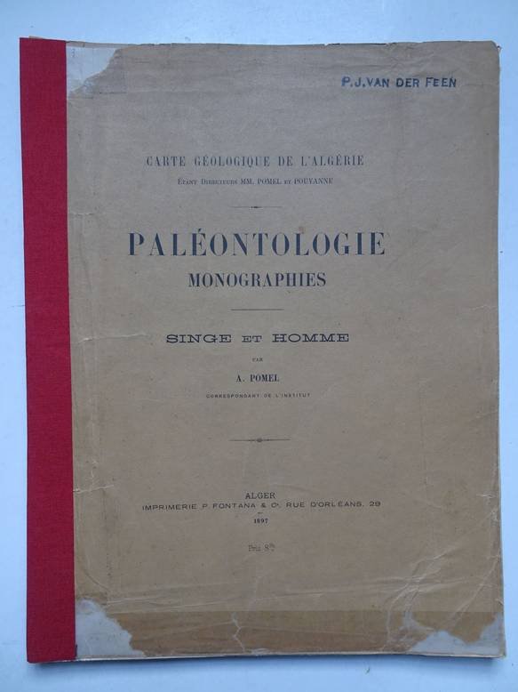Pomel, A.. - Paléontologie monographies/ singe et homme; carte géologique de l'Algérie.