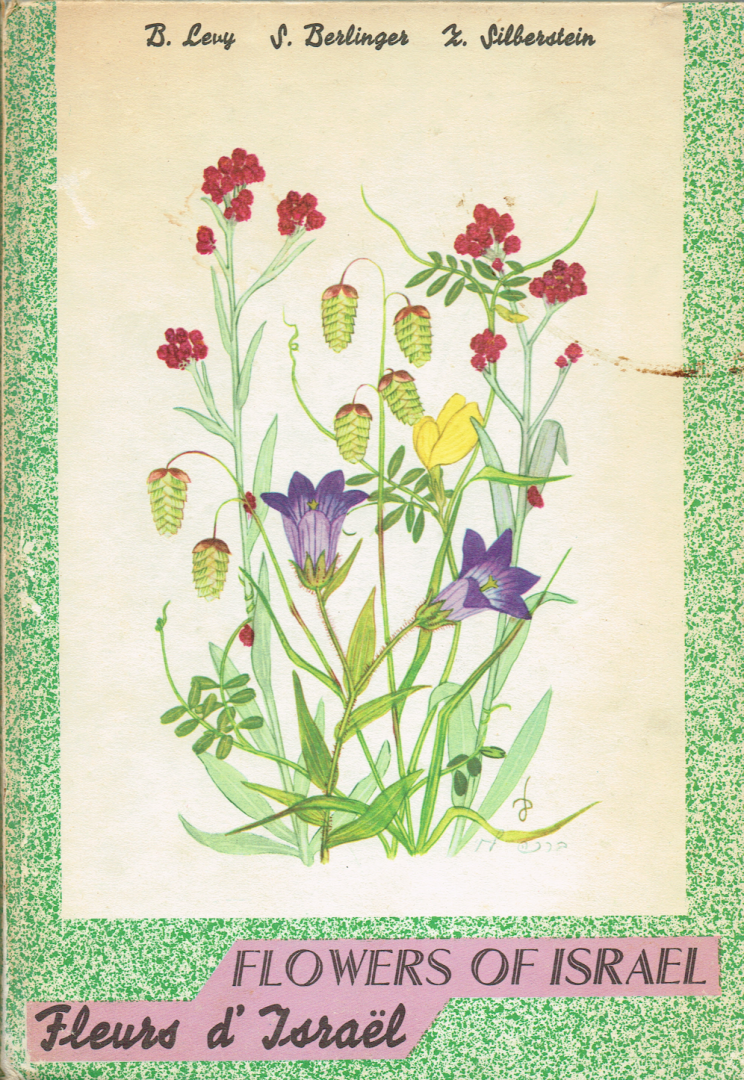 Levy, B - Berlinger, S - Silberstein, Z - Flowers of Israel  I Fleurs d' Israël