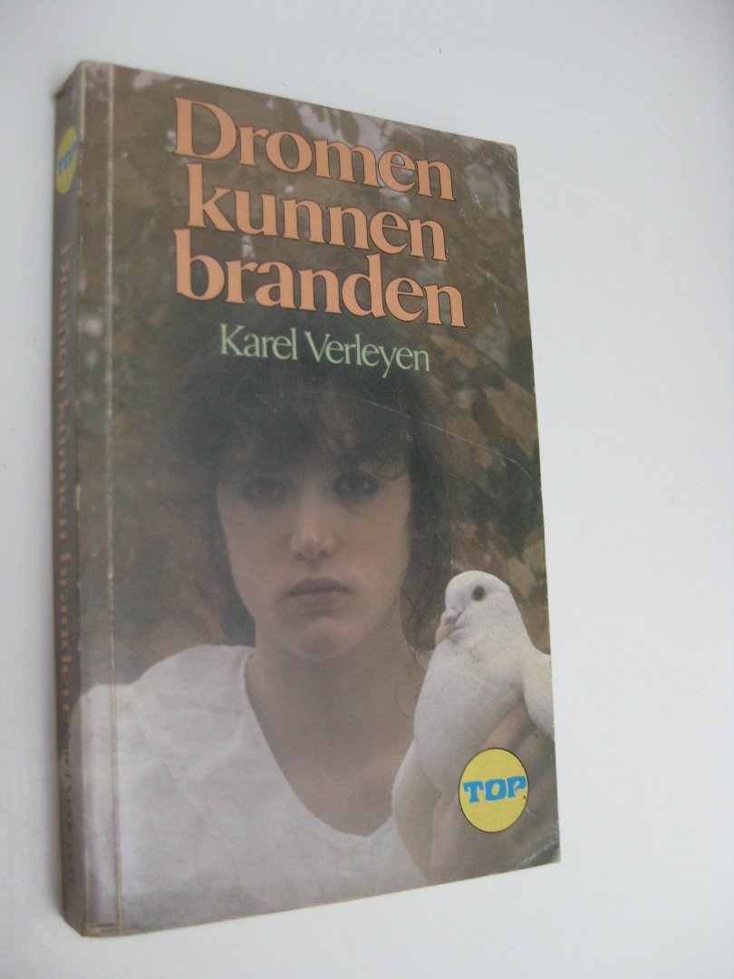 Verleyen, Karel - Dromen kunnen branden.