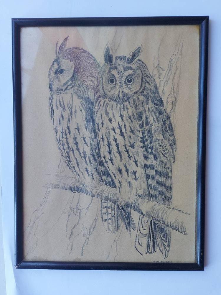 Dulieu, Jean - Paulus en de eikelmannetjes