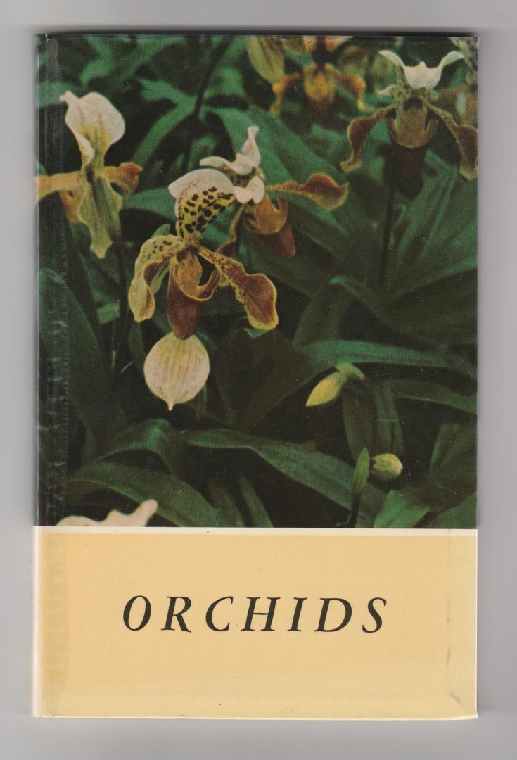 Paul, Michel - Orchids, care and growth