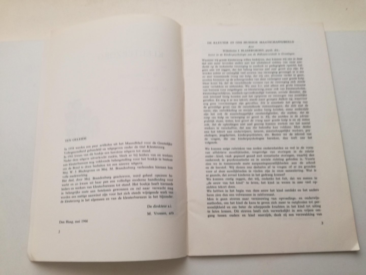 W. J. Bladergroen / M. Brandenburg - Kleuterzorg