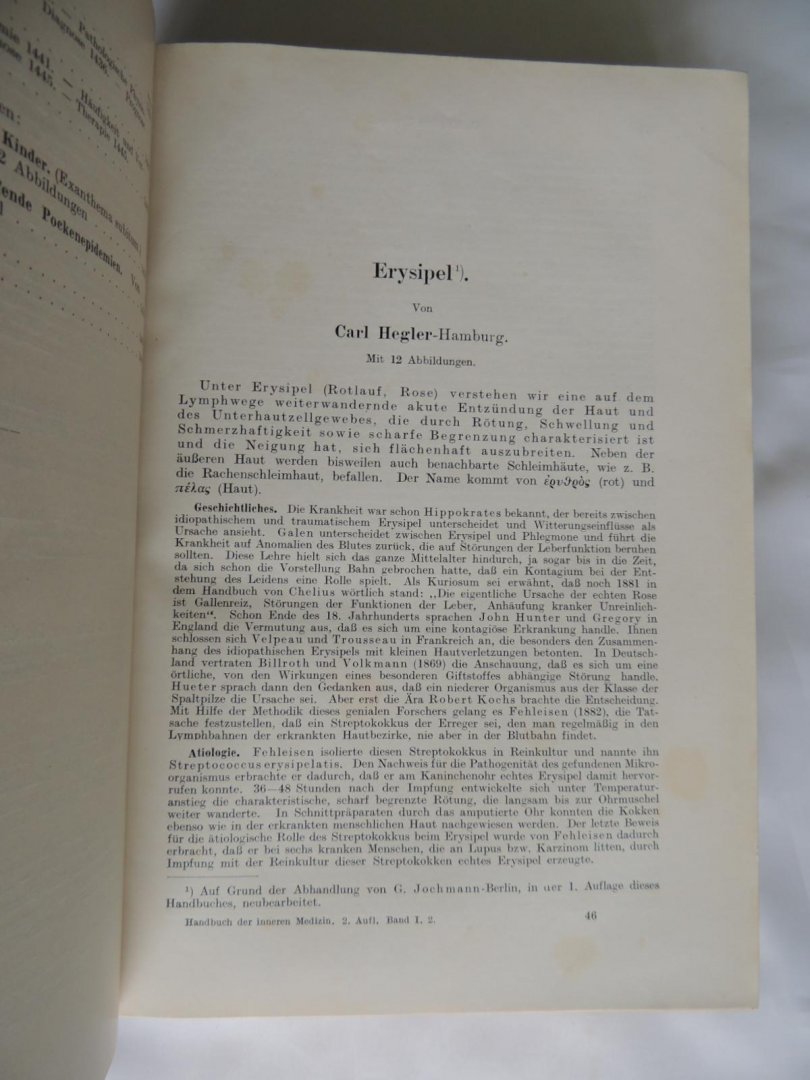 Mohr, Staehelin, Bingold, Chagas, Doerr - Handbuch der inneren Medizin - infektionskrankheiten II