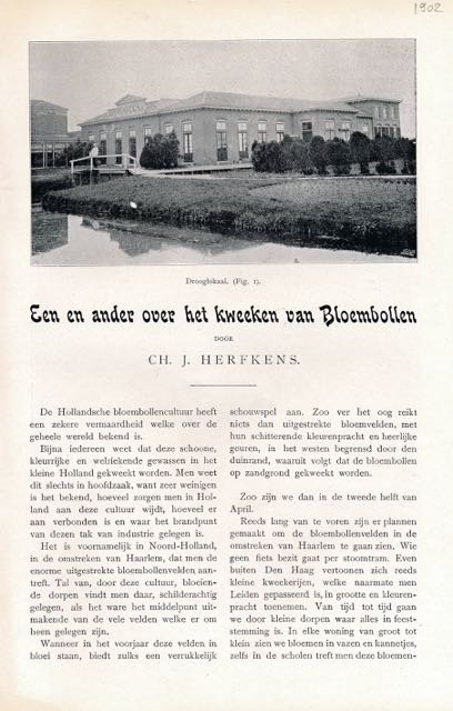 Herfkens, C.H. J. - Een en Ander over het Kweken van Bloembollen.