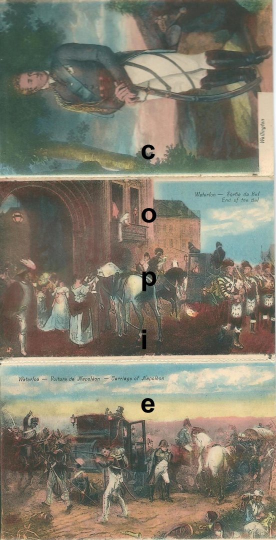 Anoniem - Souvenir de Waterloo : tableaux : 10 cartes-vues choisies à déplier : couleurs