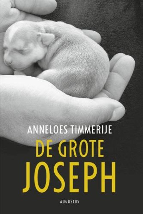 Anneloes Timmerije - De grote Joseph