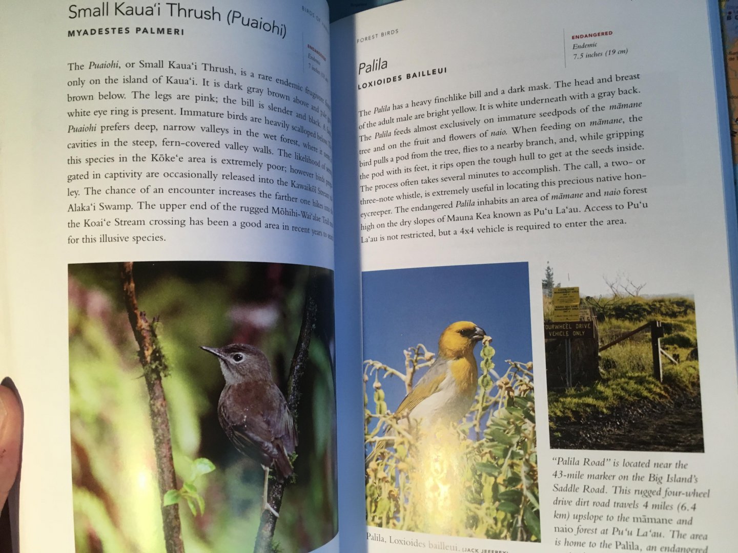 Denny, Jim - A photographic Guide to the Birds of Hawai'i - the main islands and offshore waters