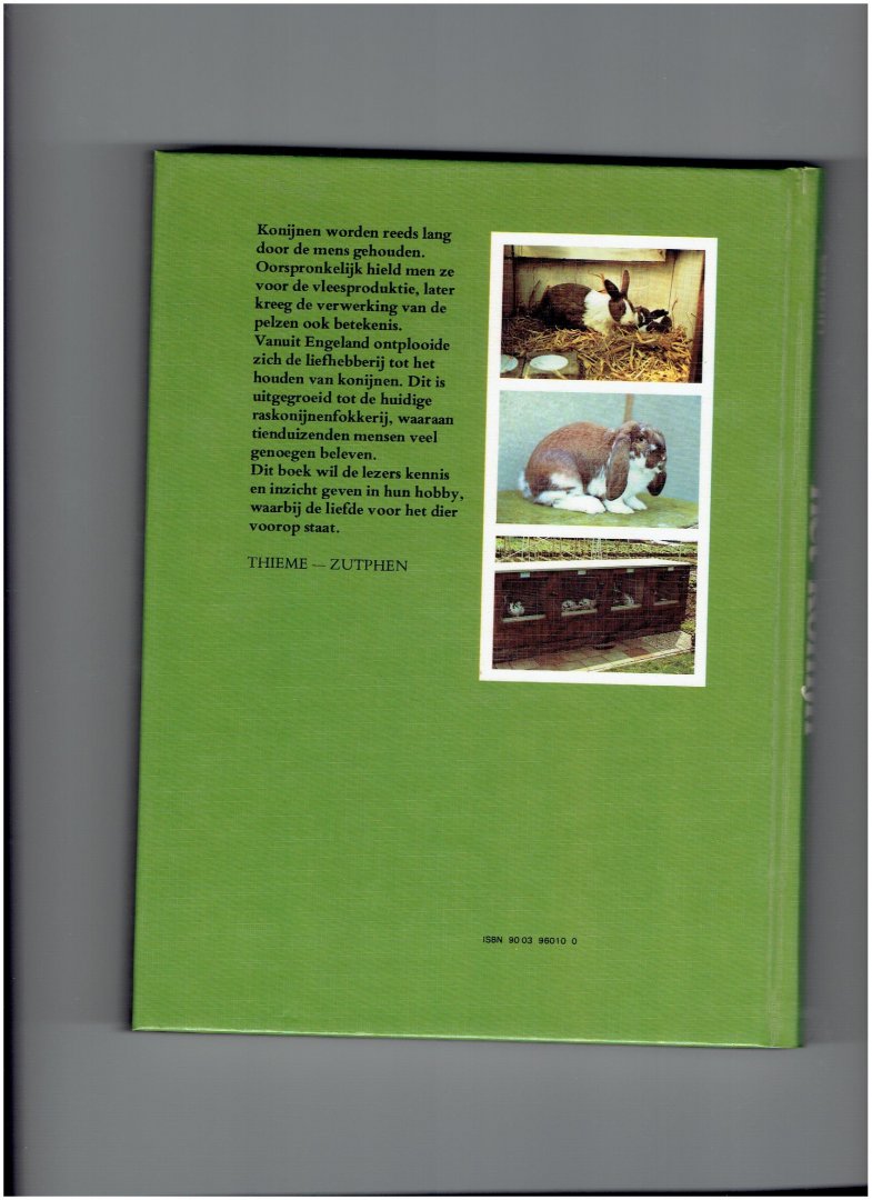 gelein, c. - het konijn