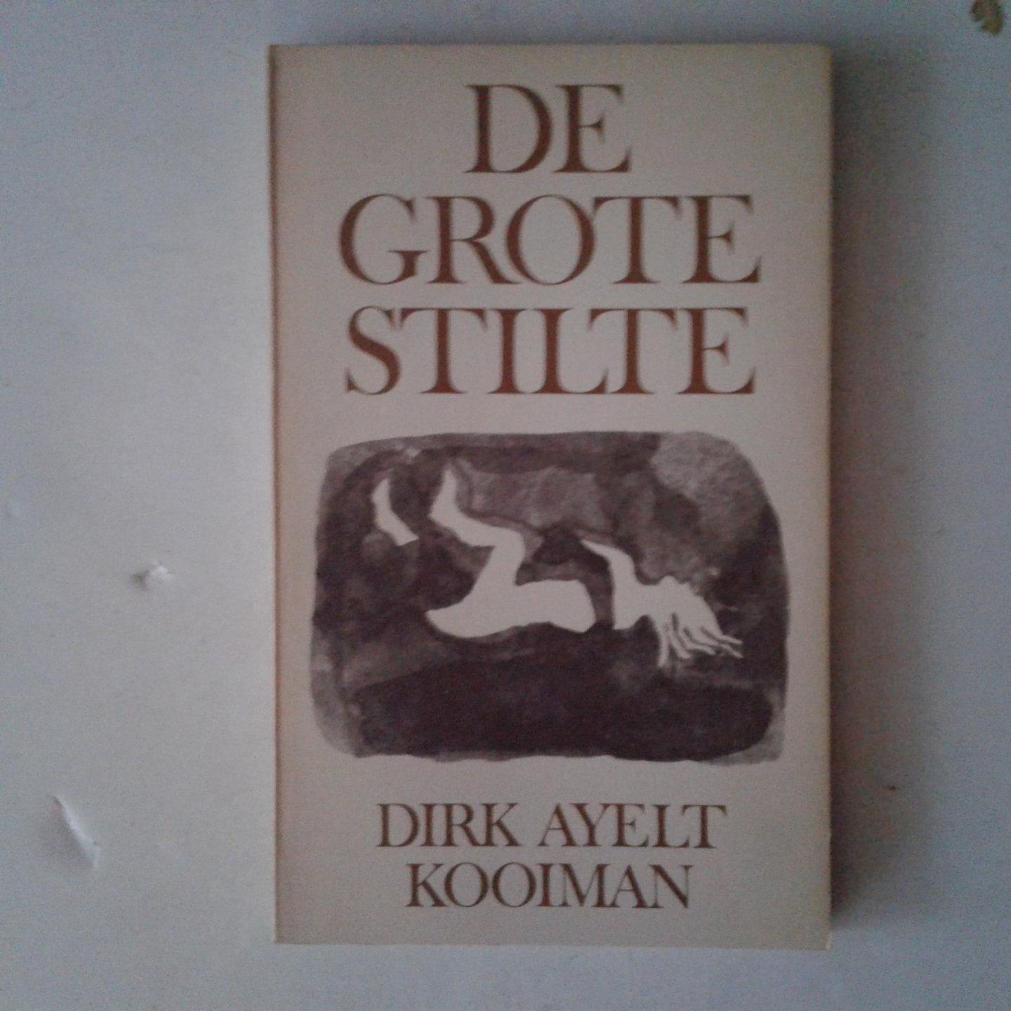 Kooiman, Dirk Ayelt - De grote stilte