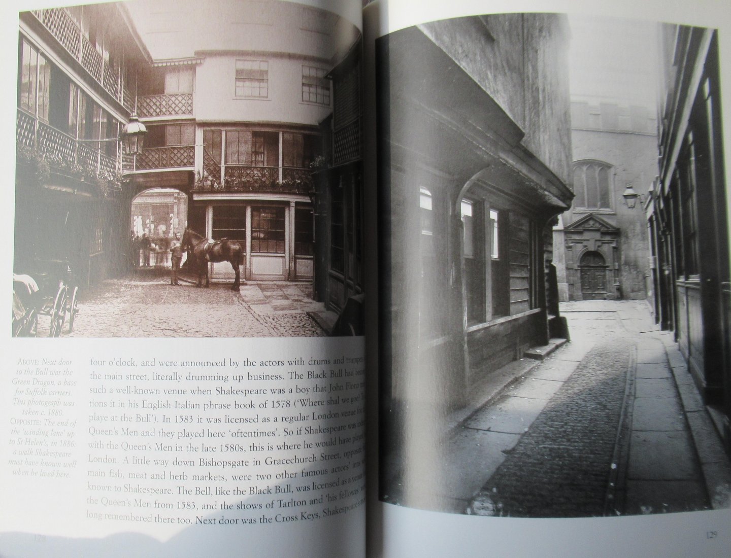 Wood, Michael - Shakespeare