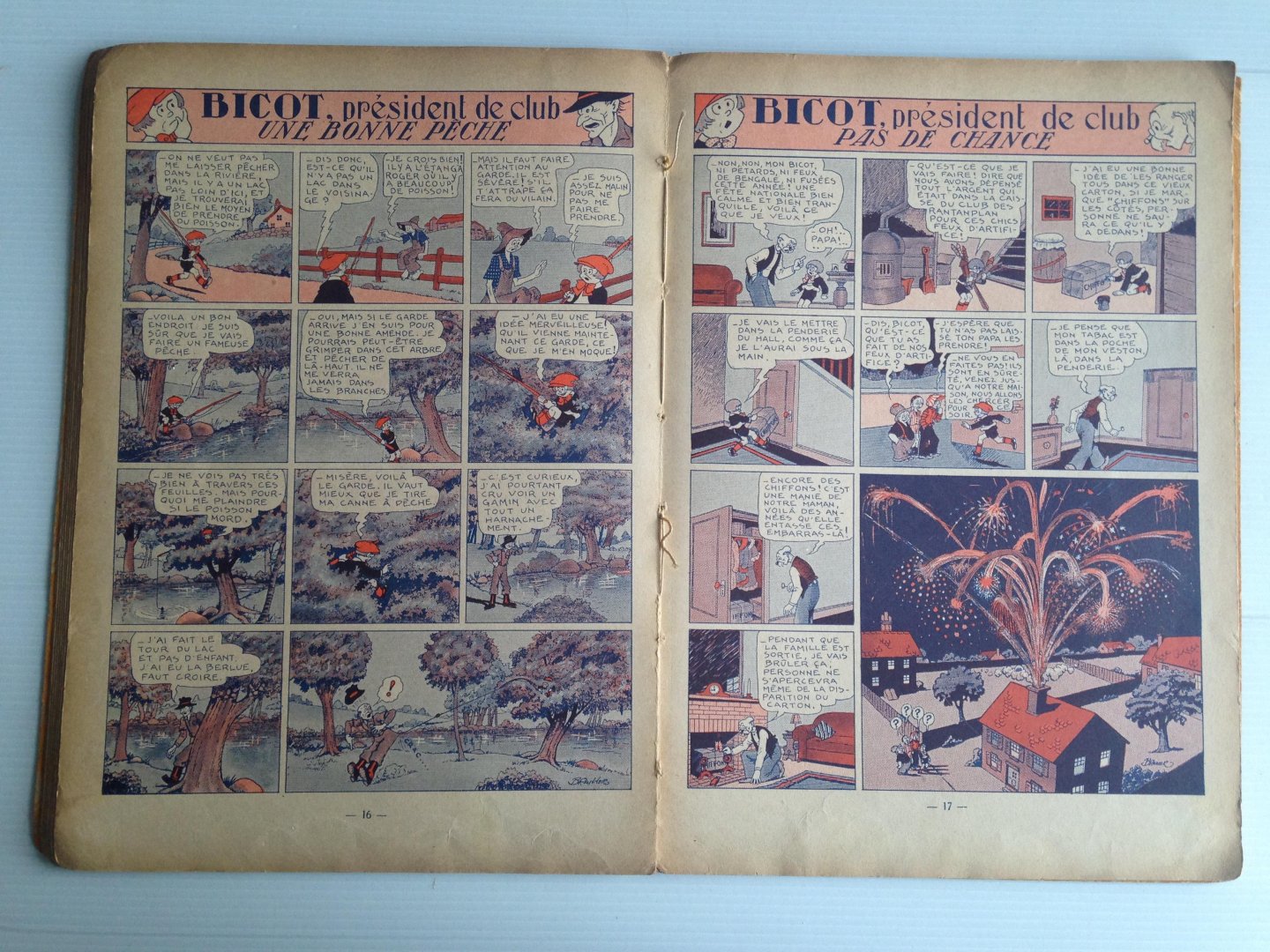 Branner - Bicot général