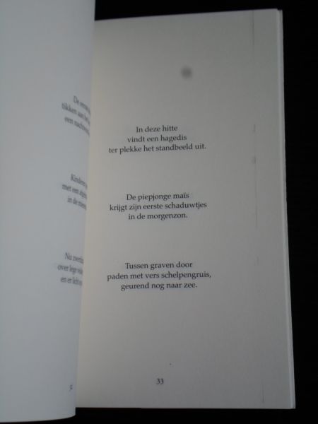 Buschman, Smon - Haar blauwe vulpen, Haiku en senryü