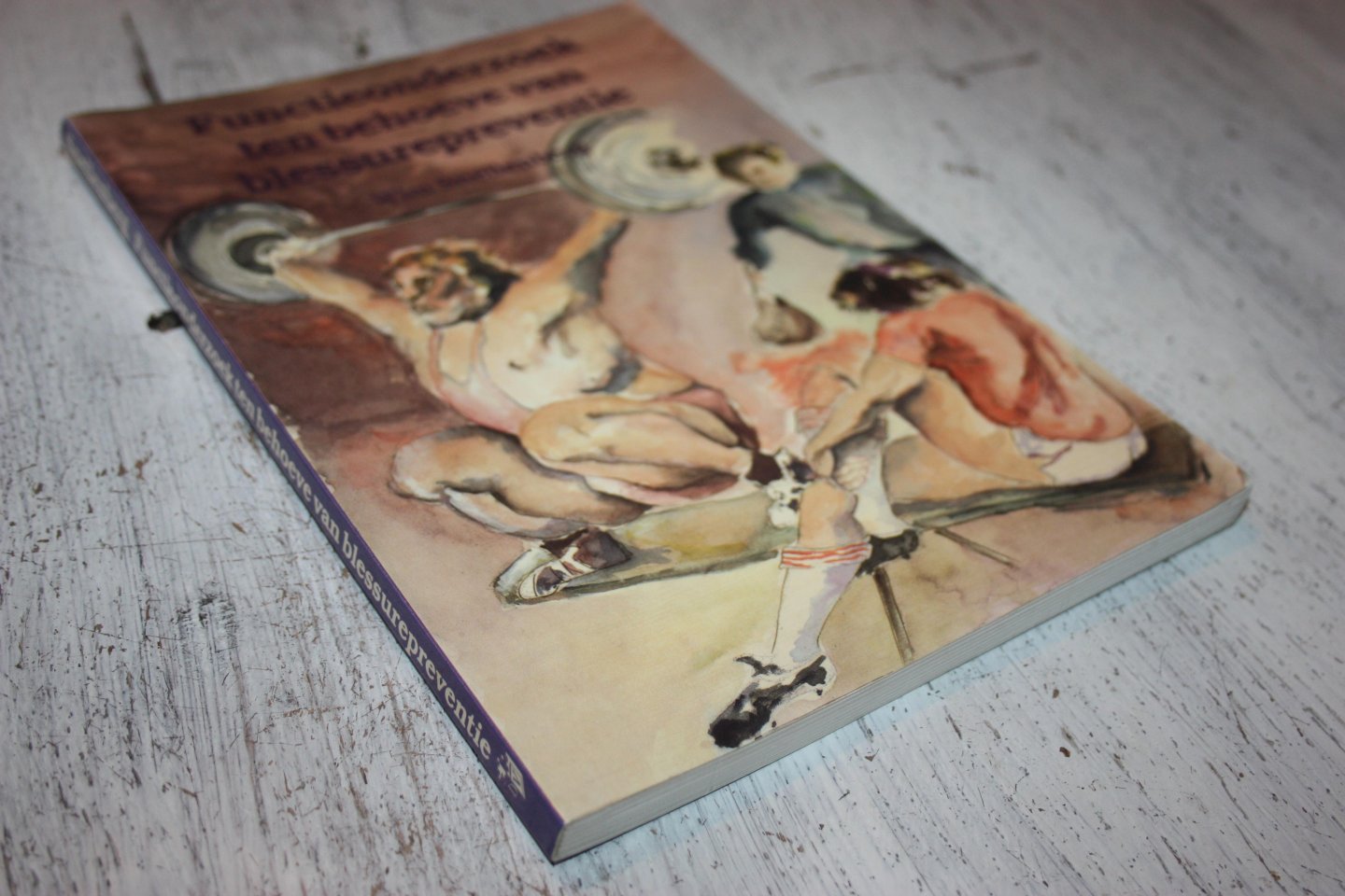 Snellenberg, Wim - FUNCTIEONDERZOEK TEN BEHOEVE VAN BLESSUREPREVENTIE