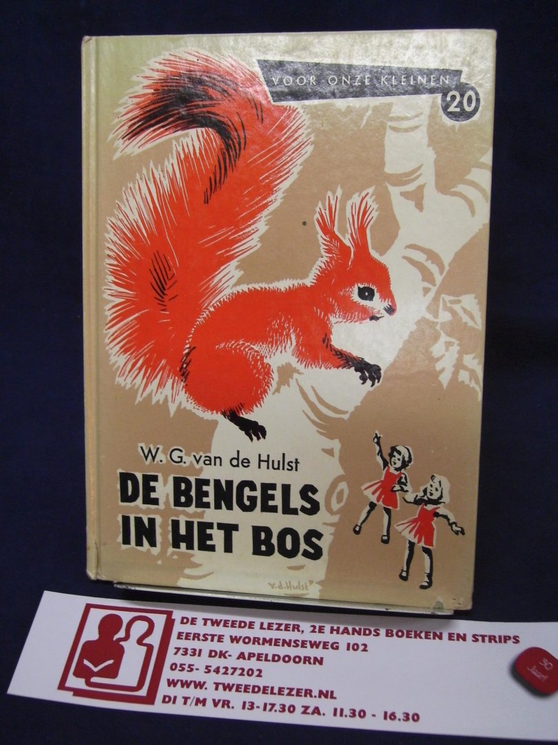 Hulst, W.G. van de - De bengels in het bos