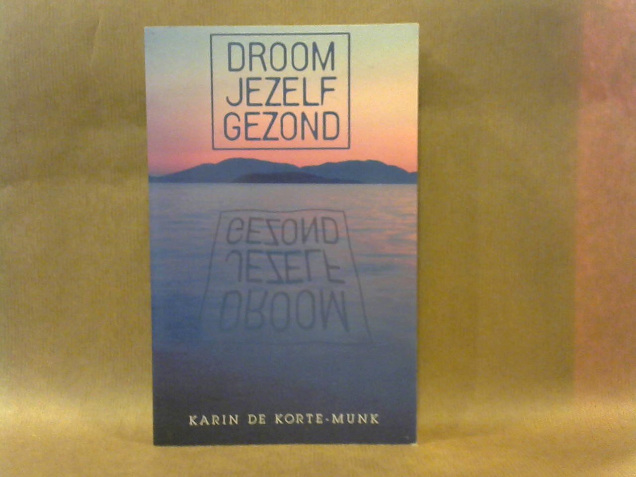 Korte-Munk, Karin de - Droom jezelf gezond